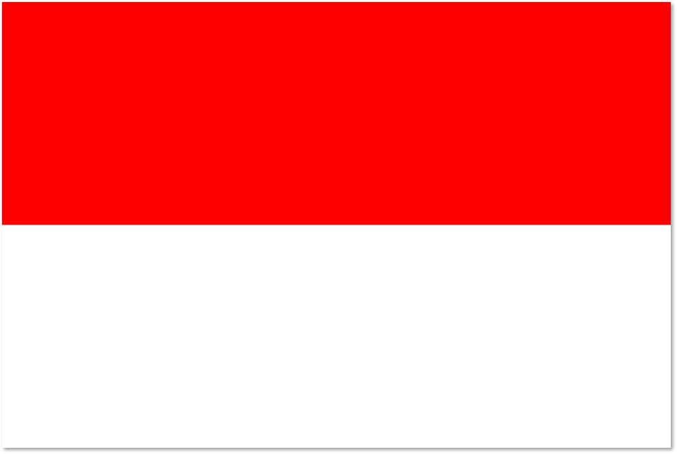 Indonesian Flag 2