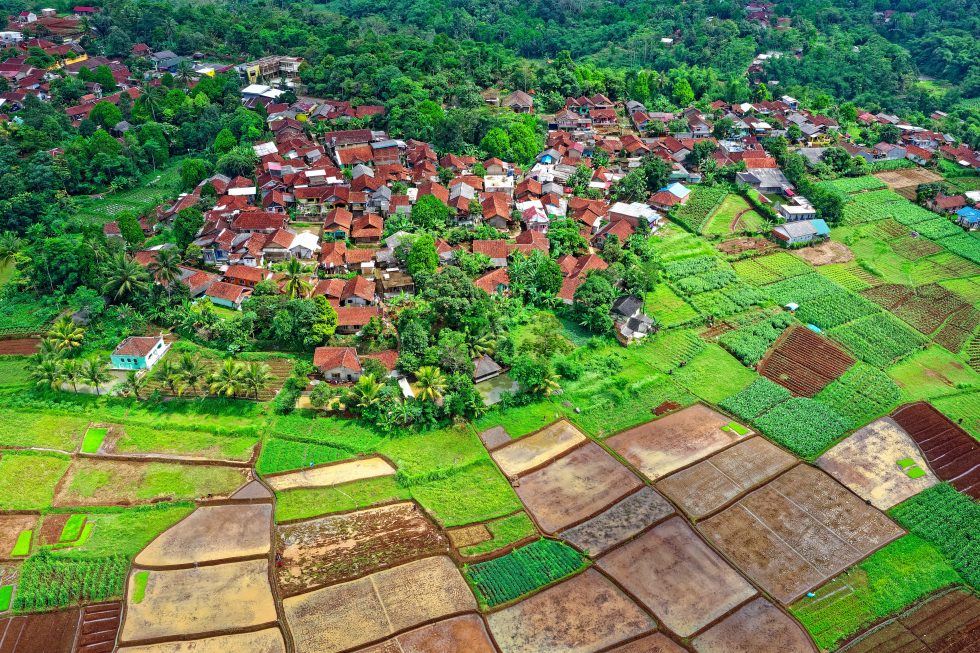 Satellite Imagery and AI to Improve Paddy Field Management in Indonesia